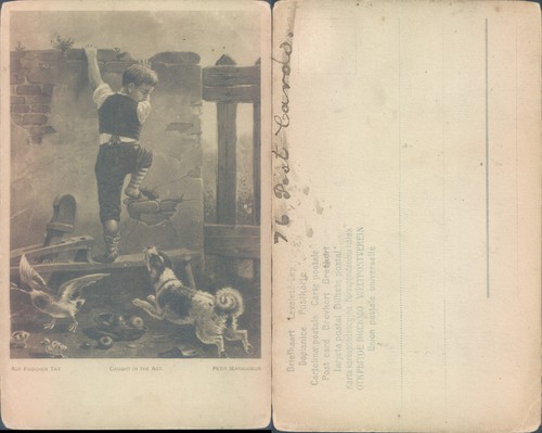 Boy climbing wall with - dog, and