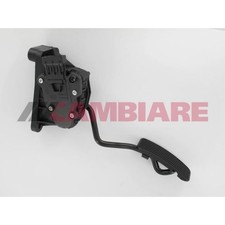 Cambiare Accelerator Pedal