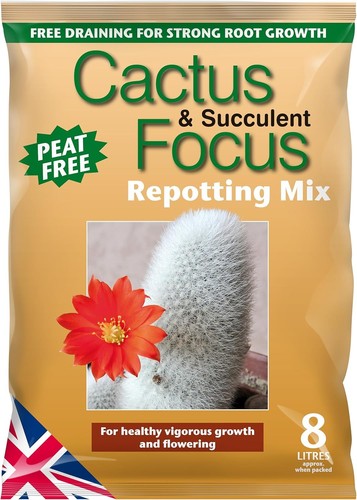 Cactus soil focus - soil, -cactus