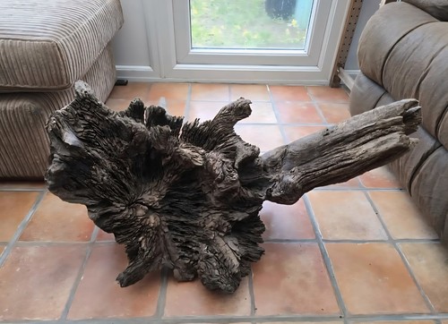 Bogwood driftwood huge - -,