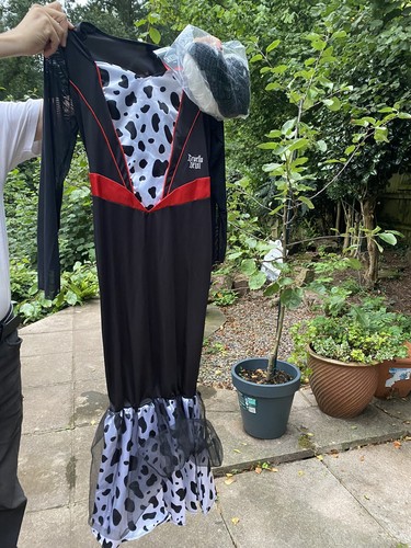 Ladies cruella deville dress - deville, &