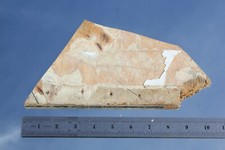 WHITE STAR LINE RMS OLYMPIC