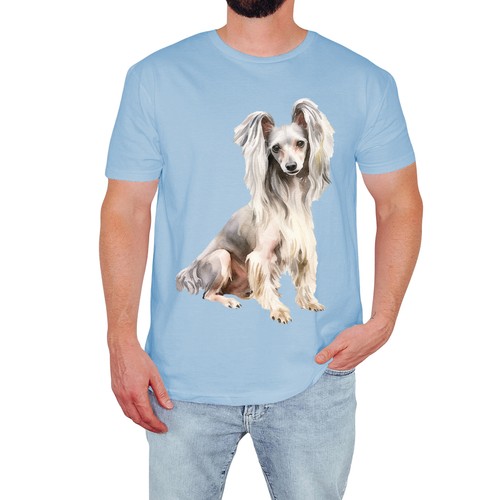 Chinese crested mens - chinese,