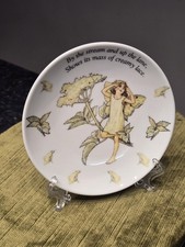 The Elder Fairy Flower Fairies