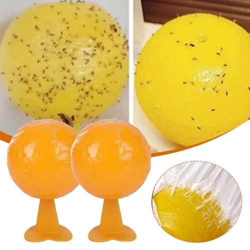 Pack indoor fly sticky traps - 3,