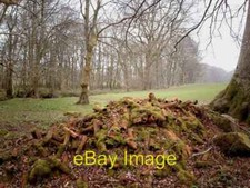 Photo 6x4 Old Pipes Inverkip A