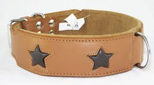Tan Staffie Dog Collar With