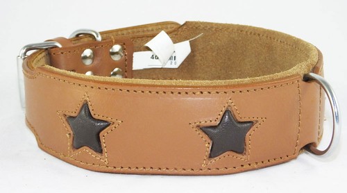Tan staffie dog collar - tan,