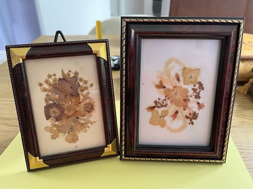 Botanical prints set 2 - botanical,