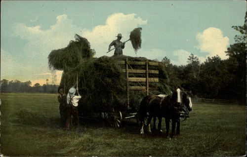 Farmers horse drawn - hay, wagon