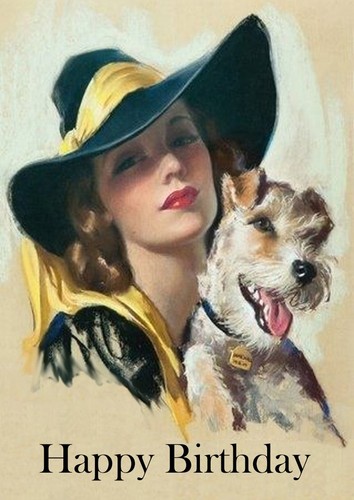 Wire fox terrier dog - terrier,