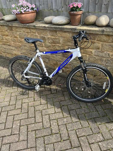 Men mountain bike - mountain,