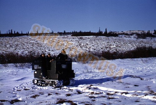 Vtg 1950s 35mm slide - slide, arctic