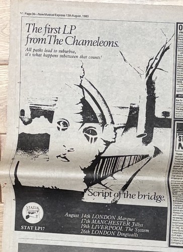 The chameleons pages of - chameleons, 23