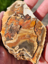 Crazy Lace Agate Crystal/ 137g/Natural/Mineral/Specimen/Healing/Rough/Raw