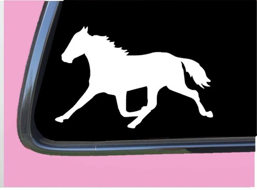 Standardbred horse 677 - 677, 6"