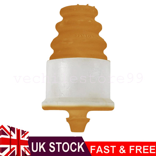 Rear suspension spring lower - rear,