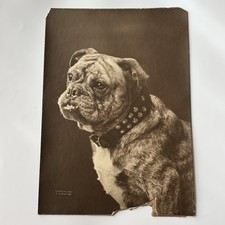 Antique Photograph On Board
