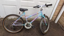Retro Raleigh Camaro Girls