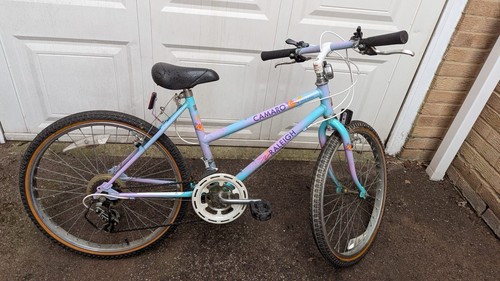 Retro raleigh camaro - retro,