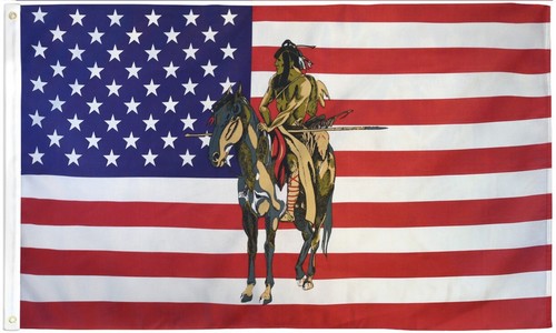 Usa native american horse flag - native,