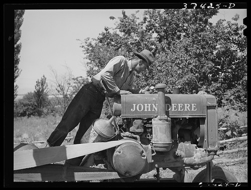 Box elder county - elder,