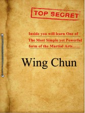 Wing Chun Kung Fu Secrets DVD Tactical Martial Art Bruce Lee Ip Man Self Defence