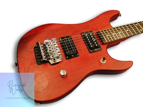 Washburn pws electric - n2-pws,