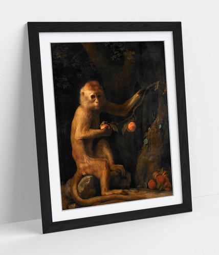 George stubbs monkey - a,