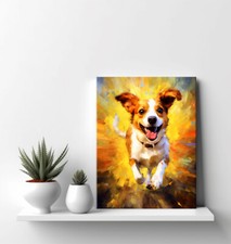 Jack russell terrier dog - jack,