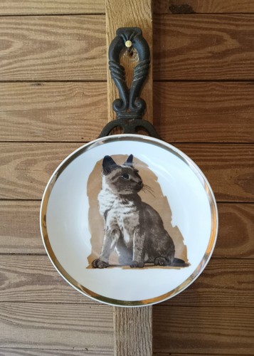 Vintage siamese cat - vintage, plate