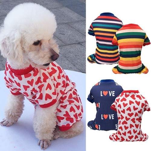 Pet dog cat - cat, pajamas