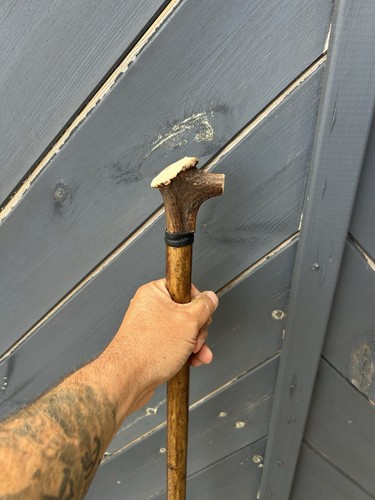 Thumb walking staff - thumb,