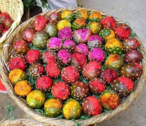 200 mixed color pitaya - mixed,