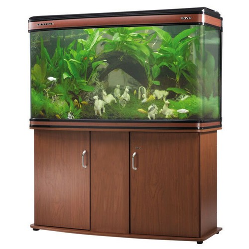 Aquarium fish tank - aquarium, front