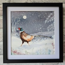Pheasant Game Bird Watercolour