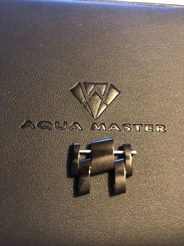 Aqua master watch extra - master,