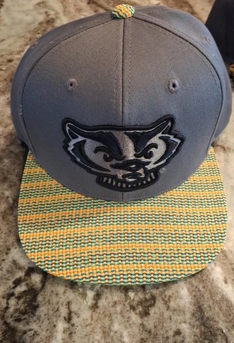 Wisconsin badgers ncaa honey - ncaa,
