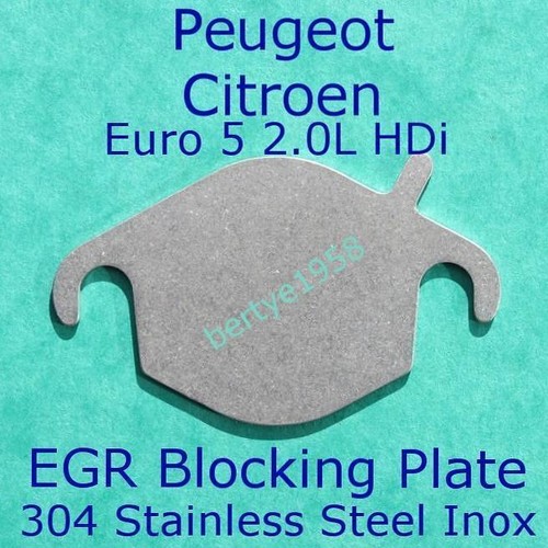 Egr valve repair plate citroen - valve,