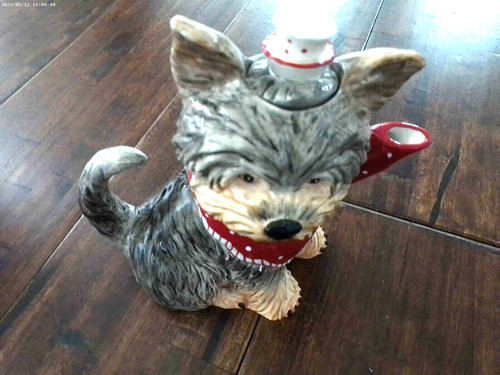 Blue sky ruby dog - sky,