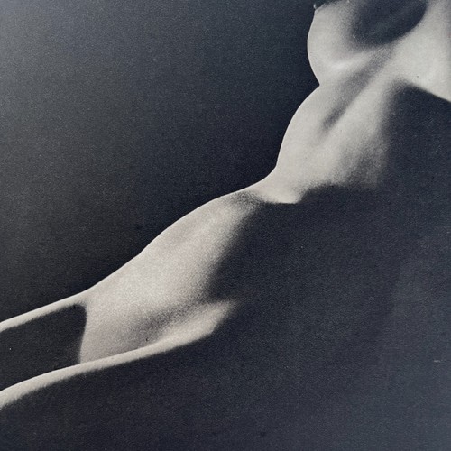 Striking nude study - , plate