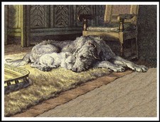 IRISH WOLFHOUND AND WESTIE