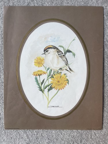 Vintage joel kirk print wren - vintage,