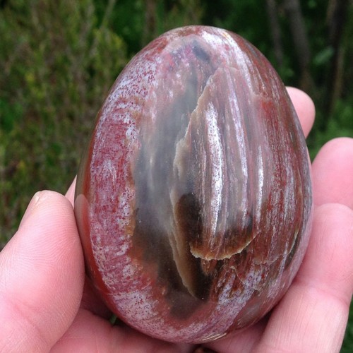 Fossil wood jasper crystal egg - jasper,