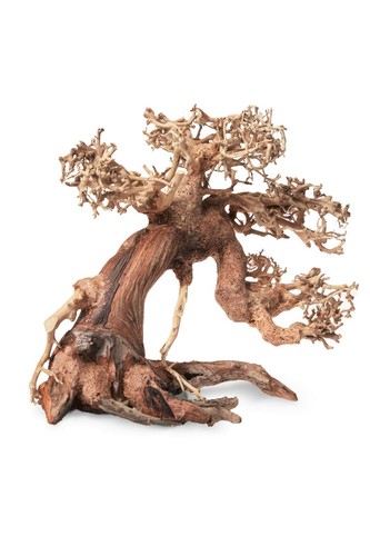 Aquarium wood bonsai tree - aquarium,