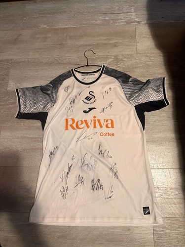 Swansea city 2023 - swansea,