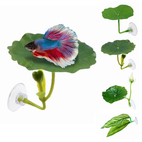 Suction cup frog - cup,