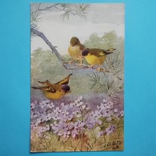 Birds & Blossoms - Art by A L