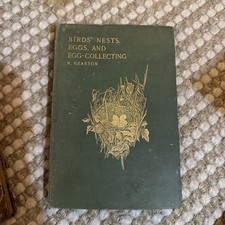 Birds' Nests, Eggs, And