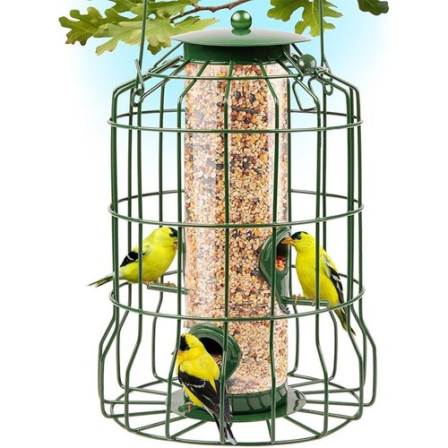 Squirrel proof hanging - squirrel,